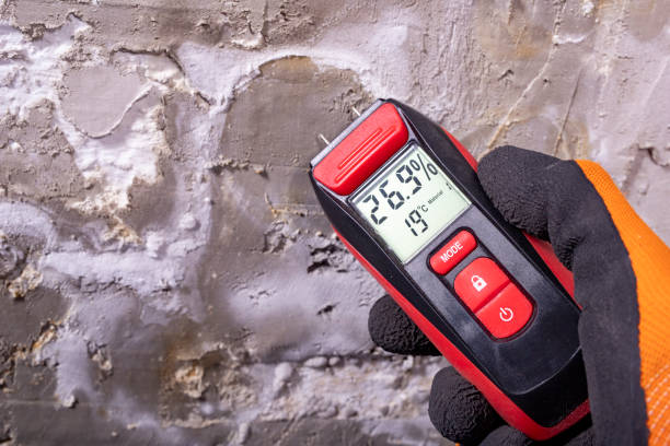 Best DIY Mold Remediation Support Services in Yorkville, WI