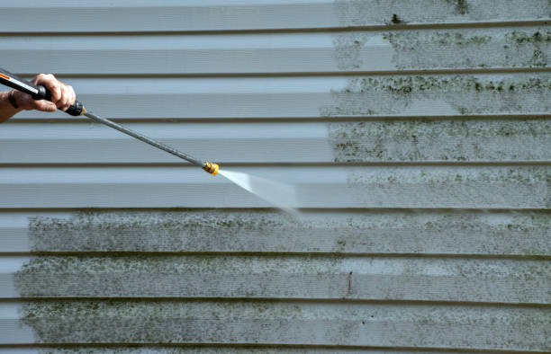 Professional Mold Remediation in Yorkville, WI