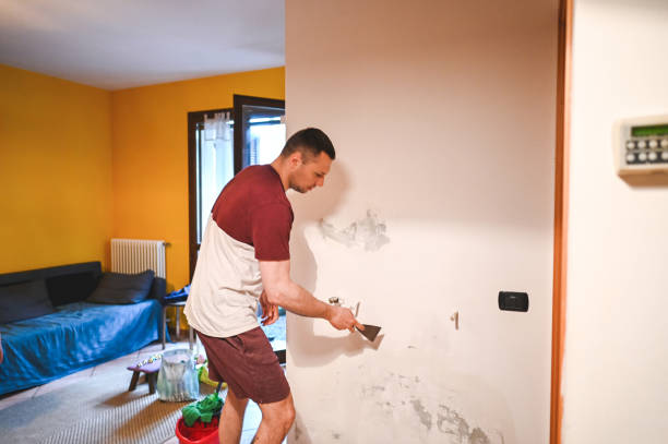 Best Basement Mold Remediation in Yorkville, WI